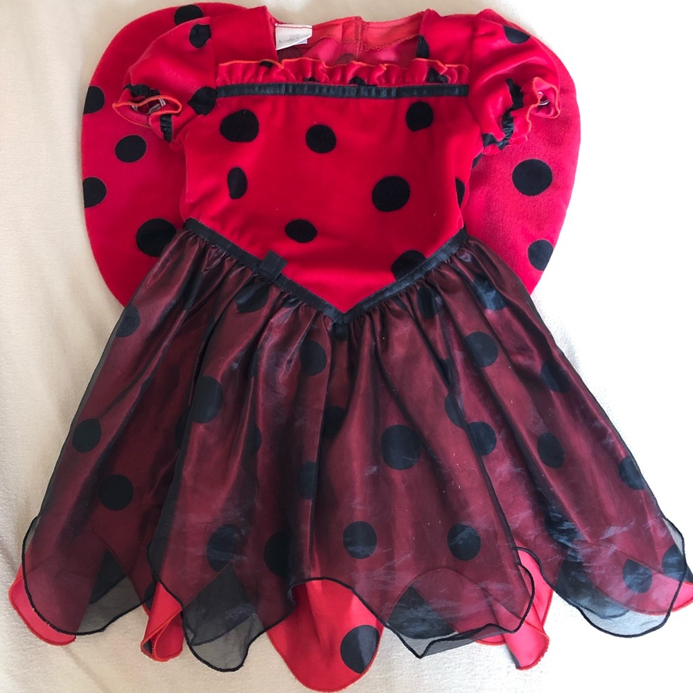 Little girl’s Halloween costume